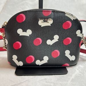 Kate Spade Disney Crossbody Bag EUC